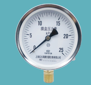 膜盒壓力表