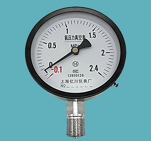2YA系列氨用壓力表
